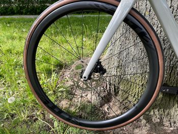 Używany Cannondale Synapse Carbon 2 LE 2024 2024 Road & Gravel — zdjęcie 12 z 12
