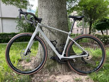 Używany Cannondale Synapse Carbon 2 LE 2024 2024 Road & Gravel — zdjęcie 4 z 12