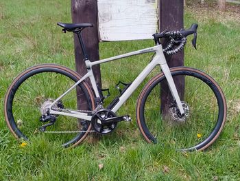 Cannondale, Synapse Carbon 2 LE 2024