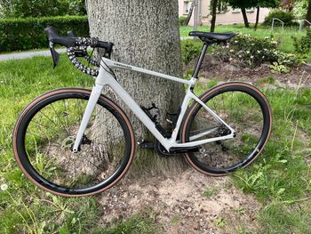 Używany Cannondale Synapse Carbon 2 LE 2024 2024 Road & Gravel — zdjęcie 5 z 12