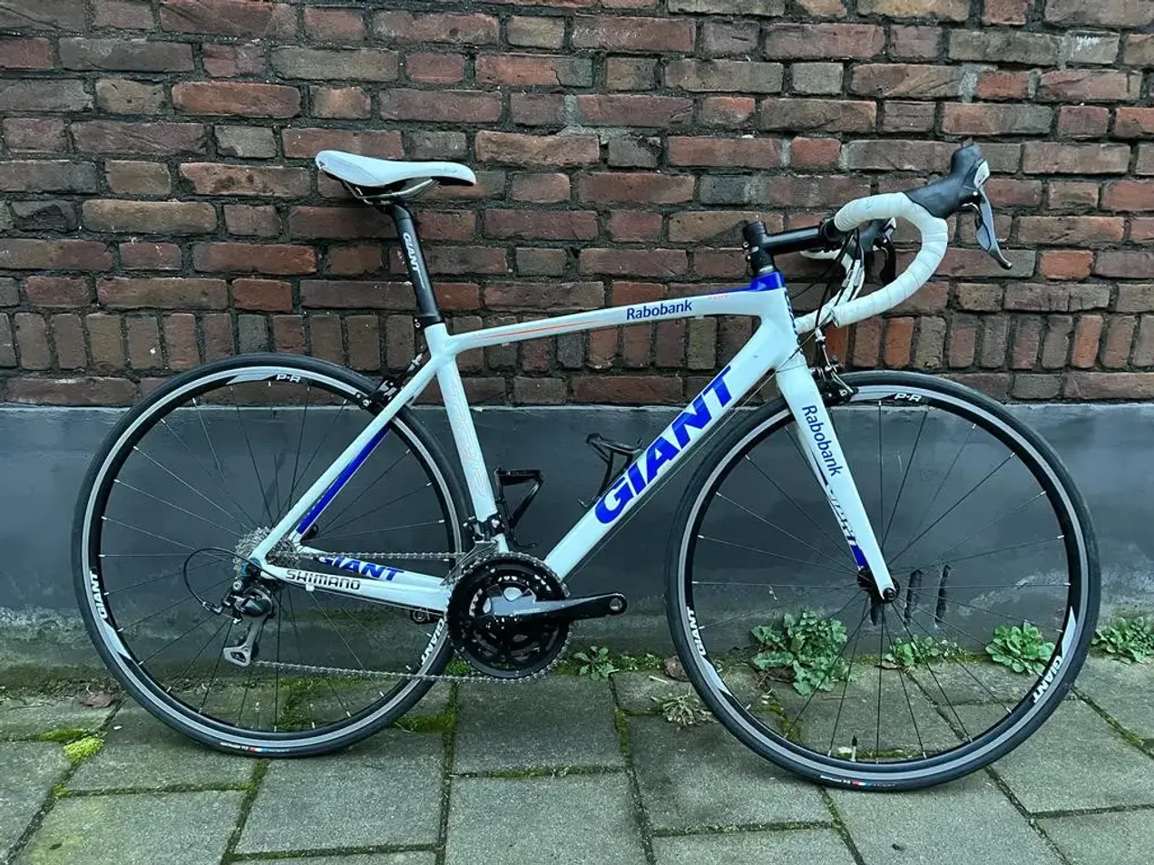 Giant TCR Rabobank Team Edition used in M | buycycle