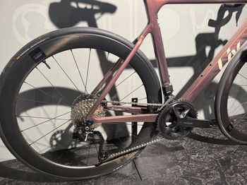 Liv EnviLiv Advanced 1 2025 Road & Gravel usato, Viola — immagine 7 di 11