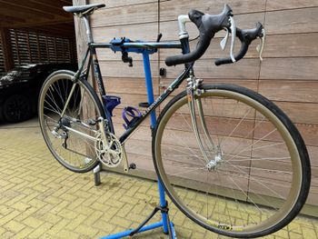 Used deBernardi Verona Klassieke De Bernardi Racefiets 1995 Road & Gravel, Viola — image 2 of 14