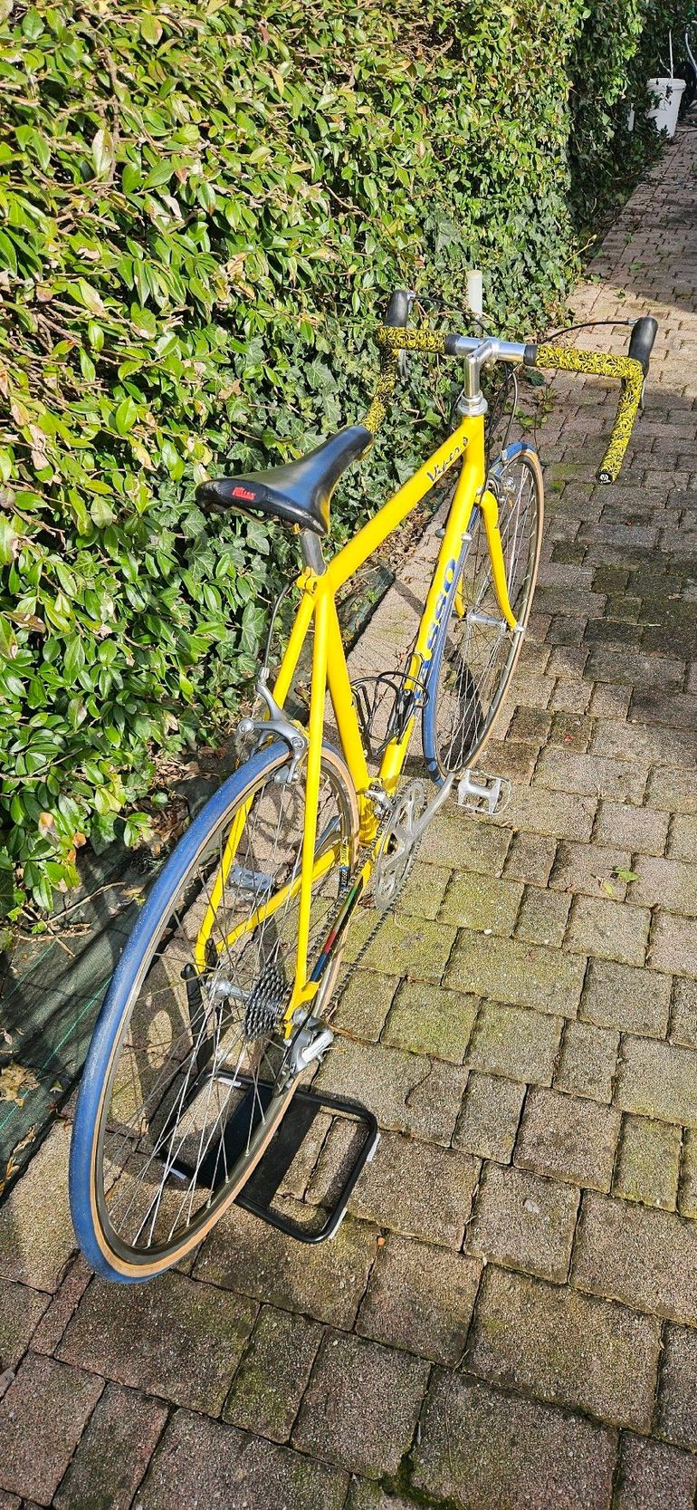 Used Basso Viper 1987 Road & Gravel, Blue — image 5 of 8
