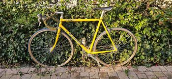Used Basso Viper 1987 Road & Gravel, Blue — image 2 of 8