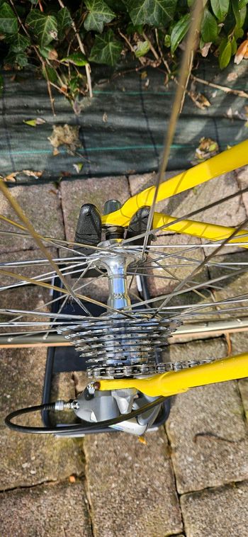 Used Basso Viper 1987 Road & Gravel, Blue — image 4 of 8