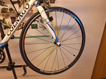 Used Colnago Dream HX 2009 Road & Gravel