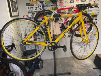 Used Specialized Langster New York 2009 Road & Gravel