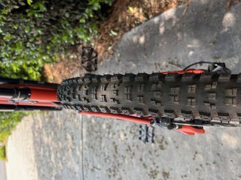 Used Specialized Turbo Levo SL Expert 2021 2021 Mountainbike, Red — image 10 of 23
