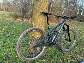 Used Ibis Cycles Ibis Ripmo V3 2024, XM, Custom XT Build, Inkl. Ripley V5 Link 2025 Mountainbike, Blue — image 4 of 22
