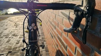 Used Colnago Ac-r Campagnolo Chorus 2019 Road & Gravel, Black — image 8 of 9