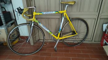 Used Wilier Elite 1995 Road & Gravel