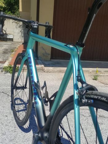 Used Bianchi Specialissima 2018 2018 Road & Gravel, Green — image 2 of 8