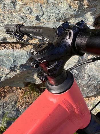 Used Canyon Neuron 5 2024 2024 Mountainbike, Red, 27.5, 29 — image 9 of 18