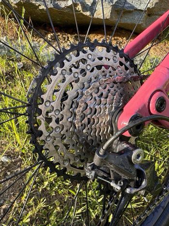 Used Canyon Neuron 5 2024 2024 Mountainbike, Red, 27.5, 29 — image 5 of 18