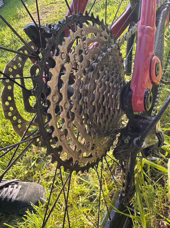Used Canyon Neuron 5 2024 2024 Mountainbike, Red, 27.5, 29 — image 3 of 18