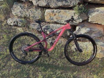 Used Canyon Neuron 5 2024 2024 MTB