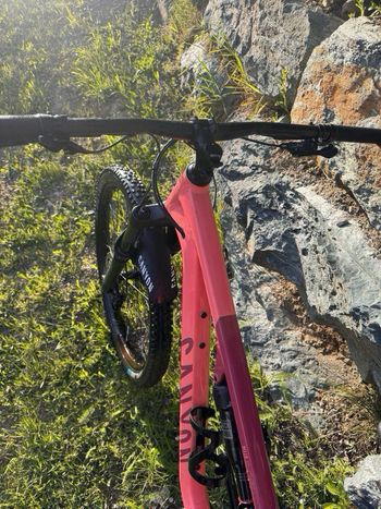 Used Canyon Neuron 5 2024 2024 Mountainbike, Red, 27.5, 29 — image 16 of 18