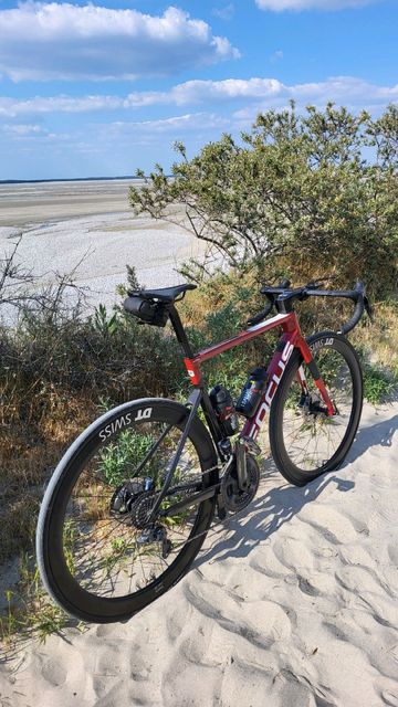 Brugt Focus IZALCO MAX DISC 9.6 2021 2021 Road & Gravel — billede 2 af 7