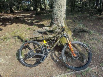 Mondraker, Foxy Carbon XR 2021