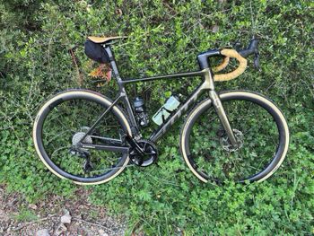 Gebrauchtes Scott Addict RC 40 2024 2024 Road & Gravel, Grün — Bild 19 von 42