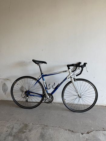Used Trek Pilot 1.0 2007 2007 Road & Gravel