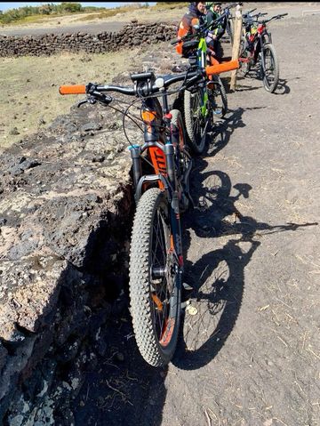 Used Giant Full-E+ 1 2017 2017 Mountainbike, Orange, 27.5 — image 4 of 4