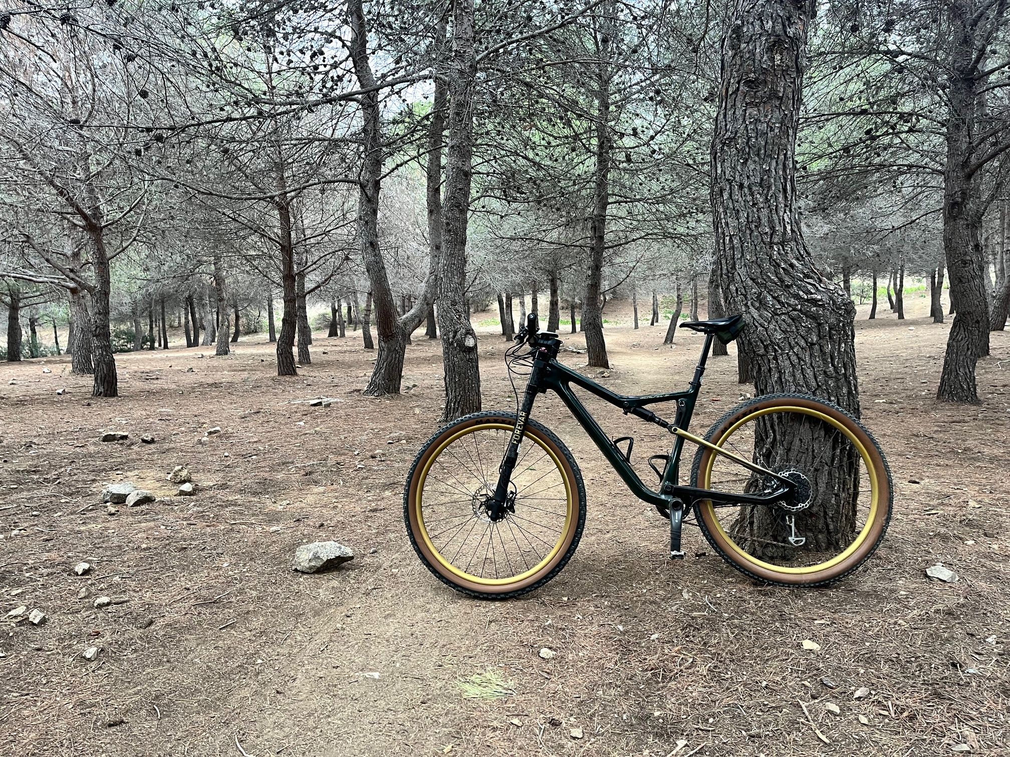 Mountain Bike 2019 Cannondale Scalpel Se Cannondale Scalpel Si
