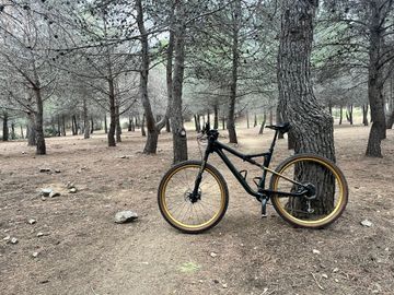 Used Cannondale Scalpel SRAM X01 Eagle 2020 Mountainbike, Green — image 7 of 7