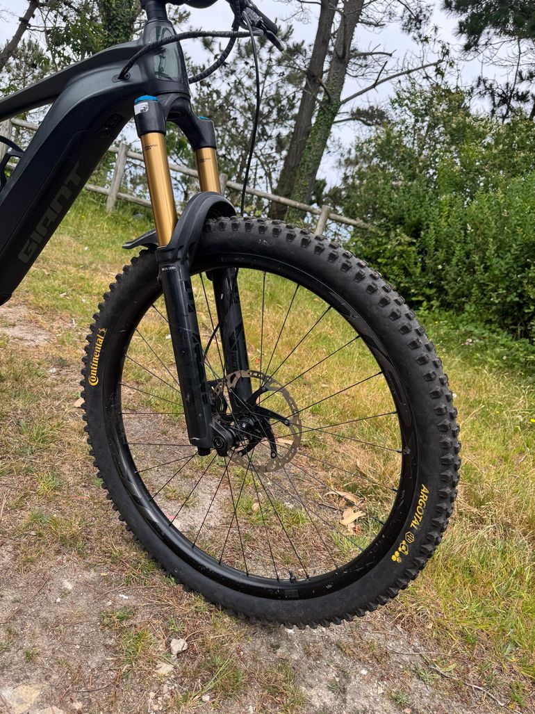 Used Giant Reign E+ 0 2022 2022 Mountainbike, Green, 29 — image 23 of 43