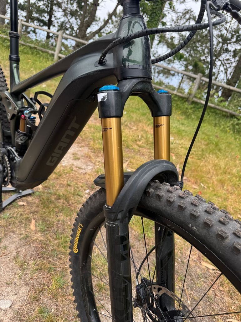 Used Giant Reign E+ 0 2022 2022 Mountainbike, Green, 29 — image 21 of 43