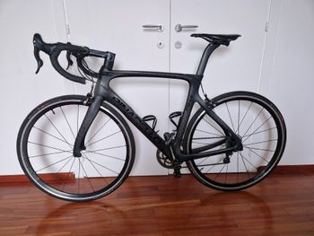 Pinarello, PRINCE