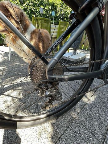 Used Specialized Specialized Speed Pedelec Vado 4.0 2019 Road & Gravel, Light Gray — image 9 of 24