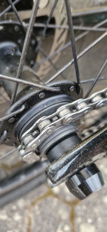 Used Canyon Stitched Single Speed / Fixed Gear 2022 Mountainbike — image 5 of 12