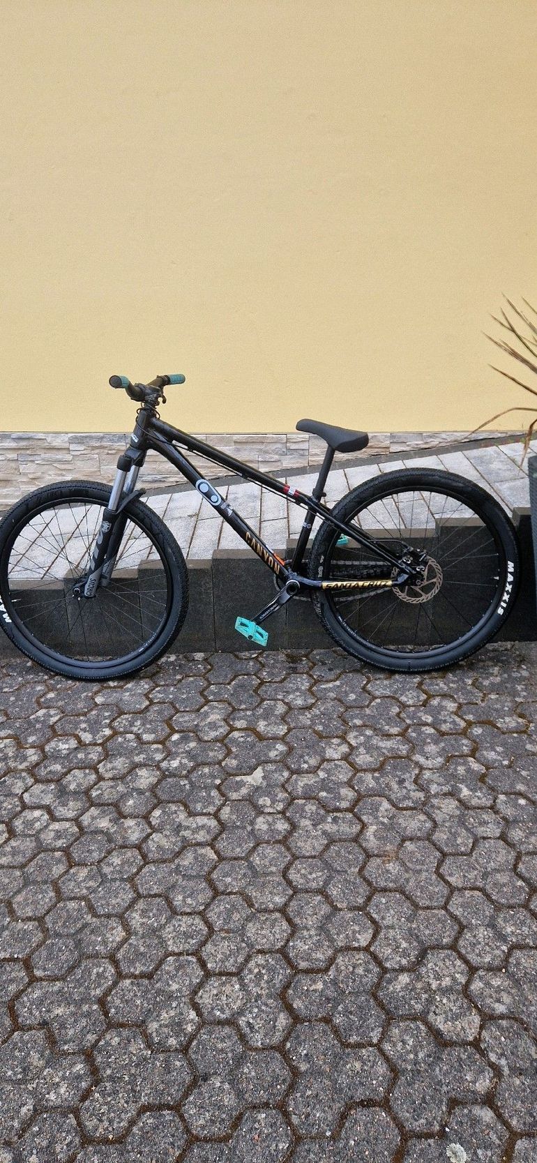 Used Canyon Stitched Single Speed / Fixed Gear 2022 Mountainbike — image 2 of 12