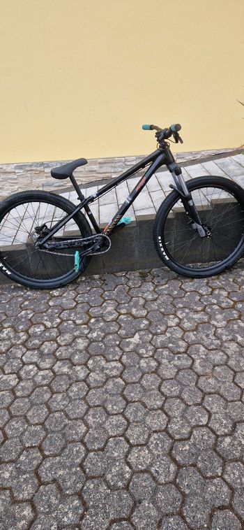 Used Canyon Stitched Single Speed / Fixed Gear 2022 Mountainbike — image 1 of 12