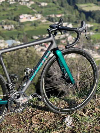 美品 SARTO DINAMICA サルト ダイナミカ カーボン ロードバイク 【公式