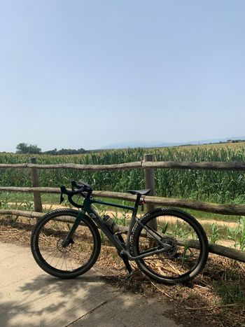 Used 3T RACEMAX BOOST RIVAL XPLR 1X12 650b 2024 2024 Road & Gravel, Grün — image 1 of 6