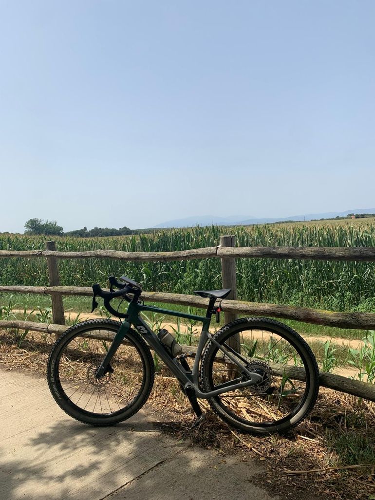 Used 3T RACEMAX BOOST RIVAL XPLR 1X12 650b 2024 2024 Road & Gravel, Grün — image 1 of 6