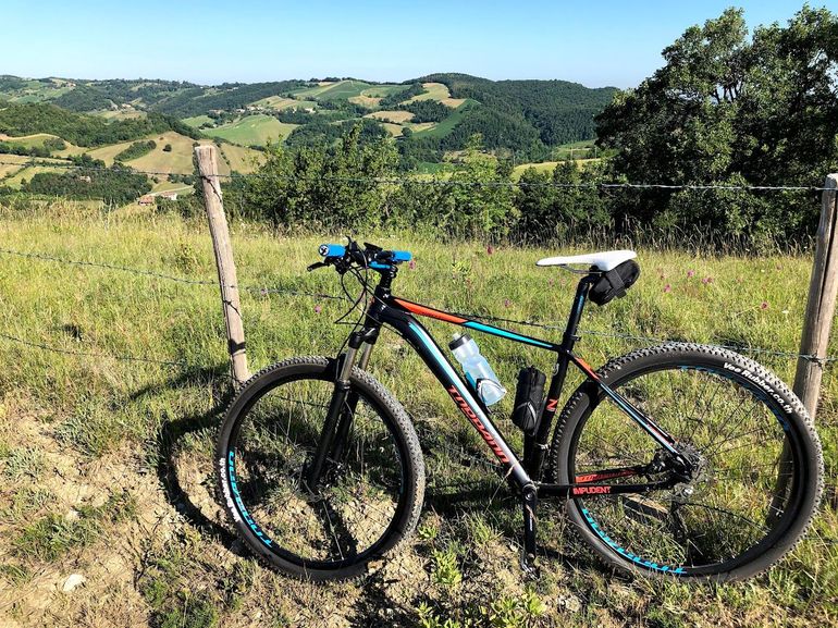 Used Torpado Ribot 2020 Mountainbike, Black — image 1 of 8