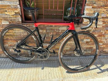 Megamo, PULSE ELITE 10 2022