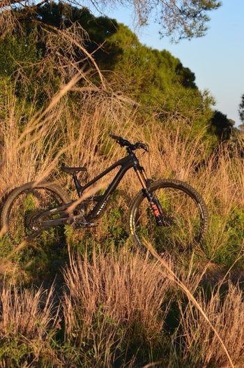 Used Cannondale Jekyll 1 2023 2023 Mountainbike, Black, 29 — image 5 of 5