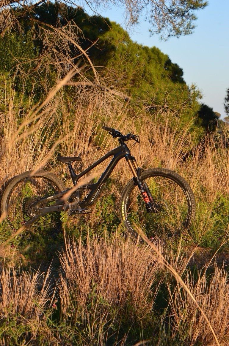 Used Cannondale Jekyll 1 2023 2023 Mountainbike, Black, 29 — image 5 of 5