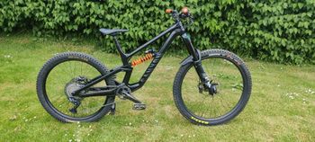 Canyon, Torque Mullet CF 8 2022