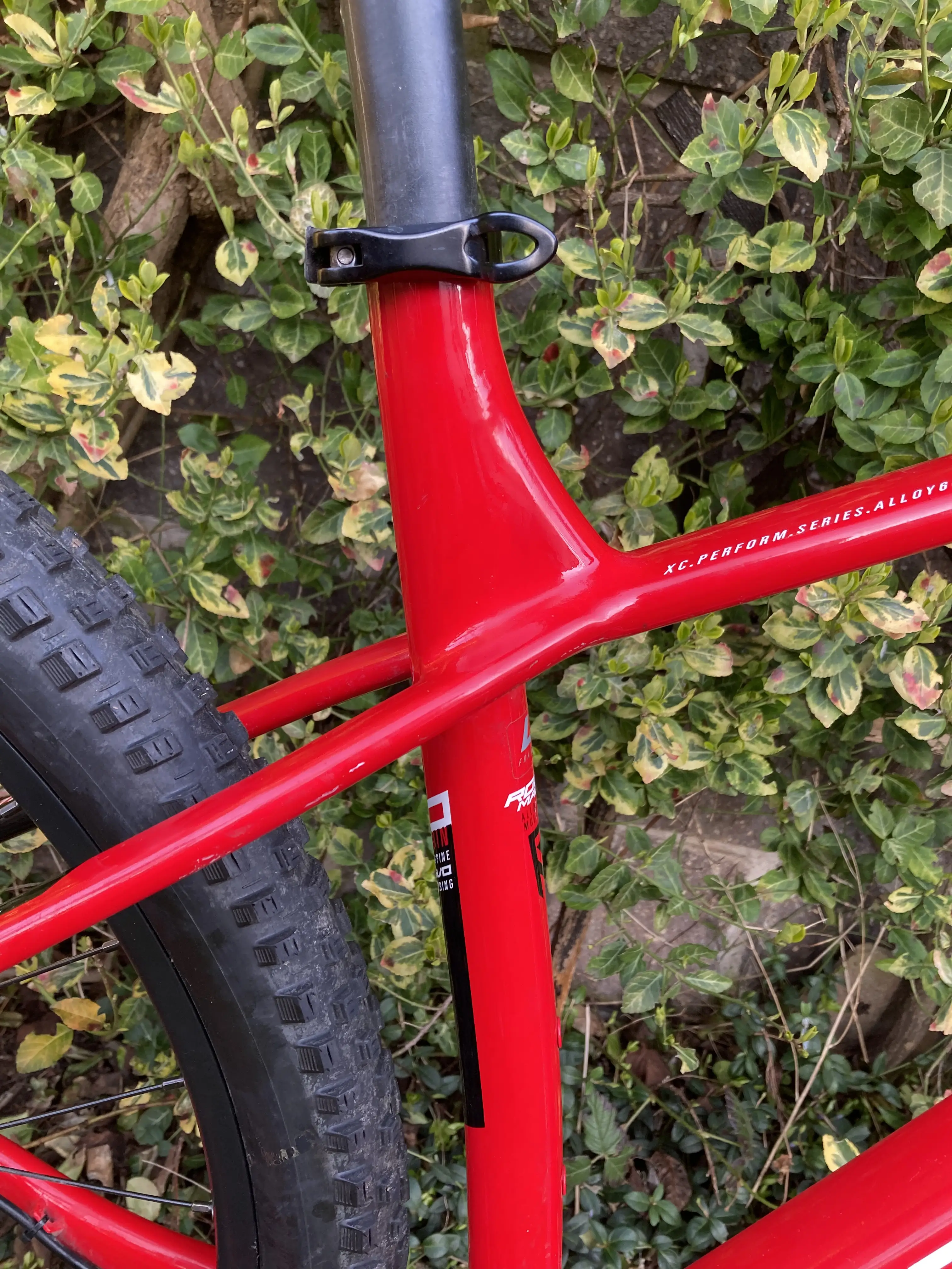 Trek x caliber vs specialized rockhopper hot sale