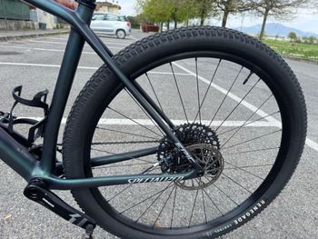 Used Specialized Epic Hardtail Comp 2022 2022 Mountainbike, Green, 29 — image 5 of 11