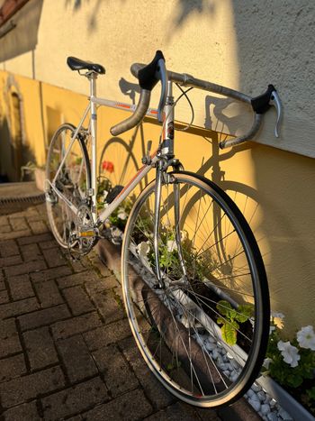 Used Peugeot PH12 1980 Road & Gravel, White — image 5 of 5