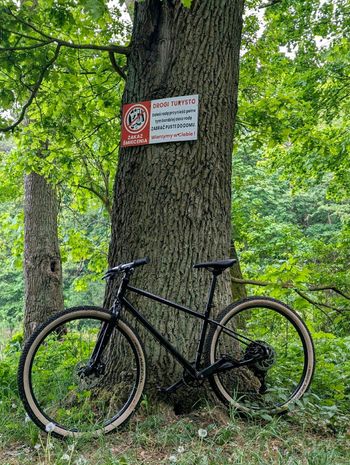 Used Marin Muirwoods 2025 Mountainbike, Black — image 2 of 3