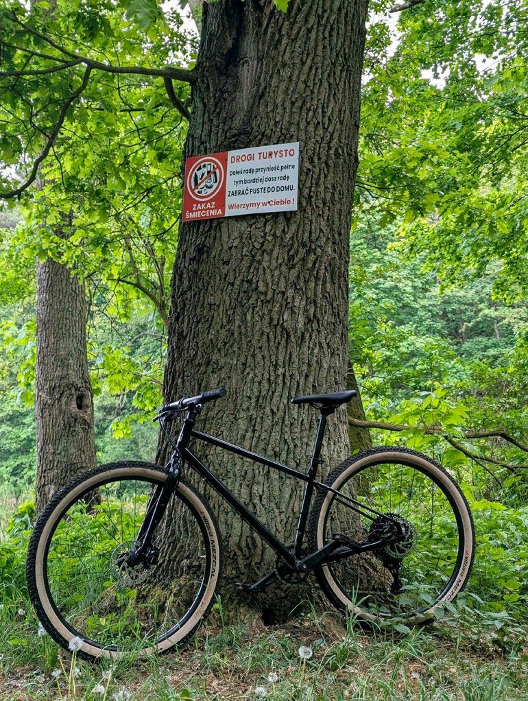 Used Marin Muirwoods 2025 Mountainbike, Black — image 2 of 3