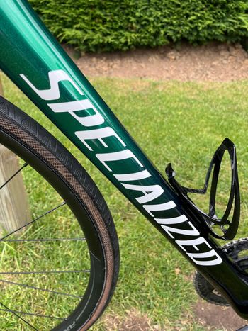 Used Specialized Roubaix Sport 2018 2018 Road & Gravel, Green — image 6 of 13